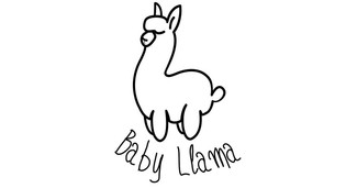 BabyLlama